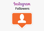 INSTAGRAM FOLLOWS